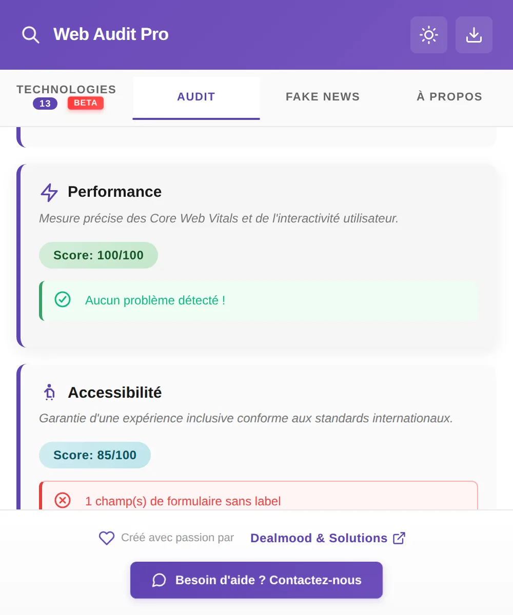 Web Audit Pro: punteggi di prestazioni e accessibilità